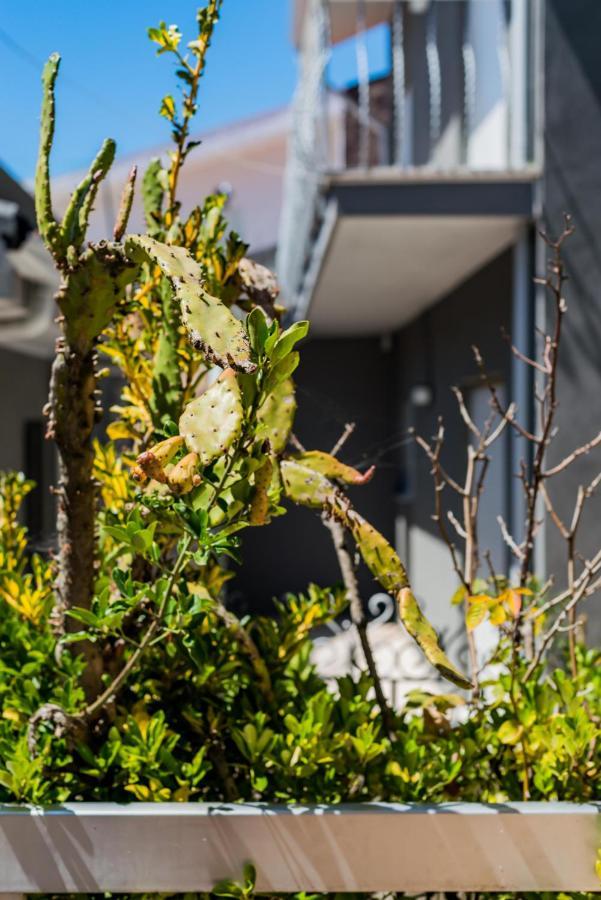 马托西纽什Casa Dos Azulejos住宿加早餐旅馆 外观 照片